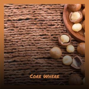 ดาวน์โหลดและฟังเพลง Core Where พร้อมเนื้อเพลงจาก Dorthe Heia