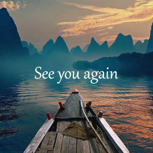 Album See You Again (Remix) oleh Dj Micky M