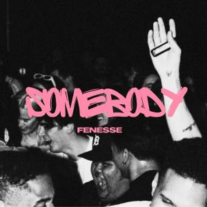 ดาวน์โหลดและฟังเพลง Somebody (Explicit) พร้อมเนื้อเพลงจาก Fenesse