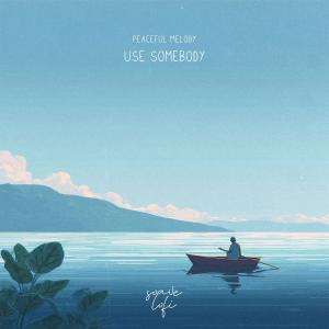 Listen to Use Somebody song with lyrics from Peaceful Melody