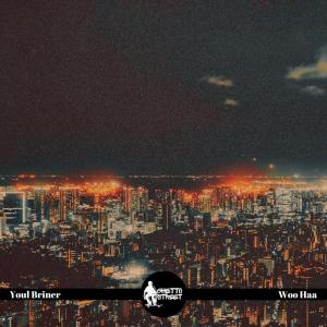 ดาวน์โหลดและฟังเพลง Woo Haa พร้อมเนื้อเพลงจาก Youl Briner