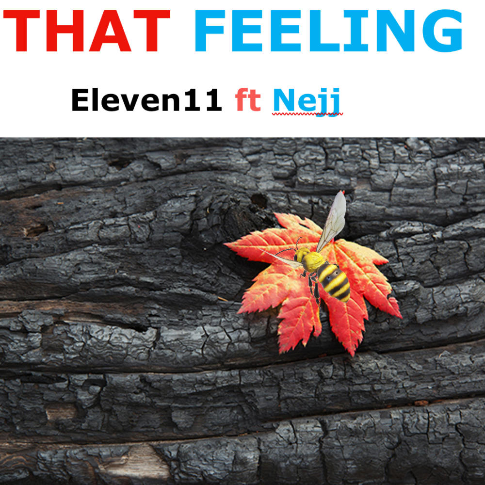 That Feeling (feat. Nejj)