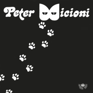 收聽Peter Micioni的If You Wanna Dance歌詞歌曲