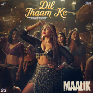 อัลบัม Dil Thaam Ke (From "Maalik") ศิลปิน Sachin-Jigar