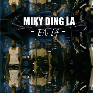 Listen to EN LA (Explicit) song with lyrics from Miky Ding La