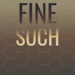 Listen to Fine Such song with lyrics from Maan Ceci