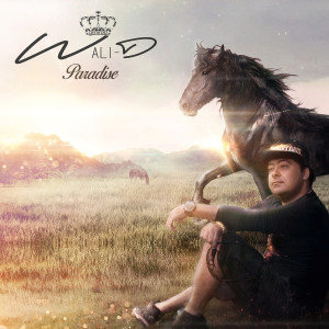 Listen to Summer song with lyrics from Wali-D