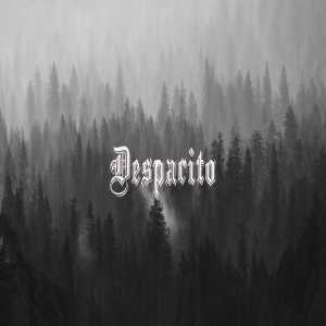 收聽DjSunnyMega的Despacito歌詞歌曲