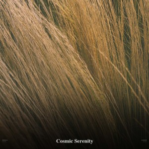 Album !!!!" Cosmic Serenity "!!!! from Relaxing Music Therapy