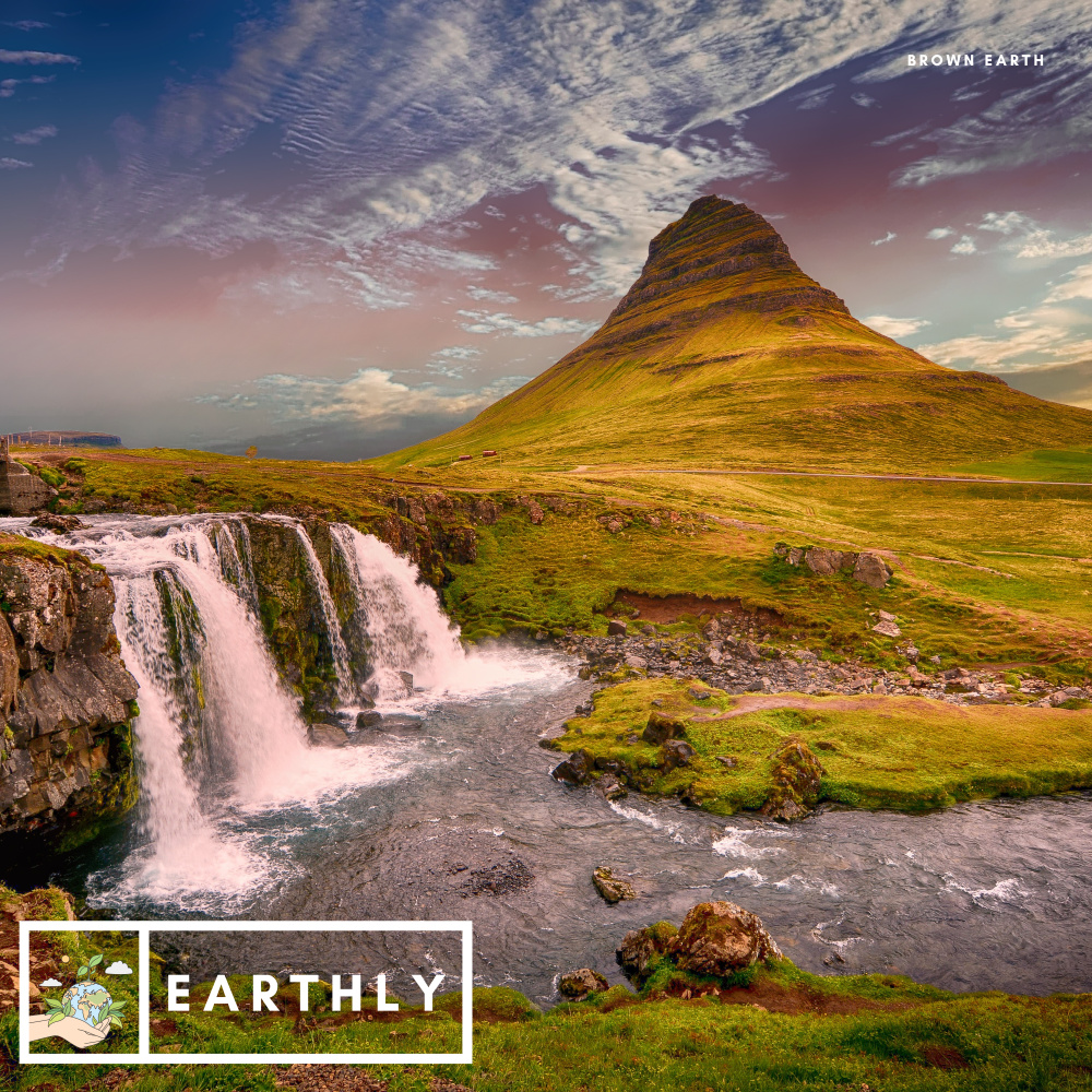 Brown Earth (Birds)