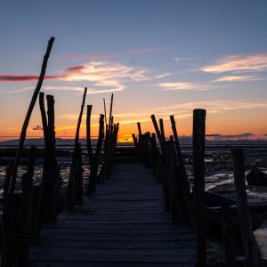 Listen to Sleep Music song with lyrics from Sleep Sound Library