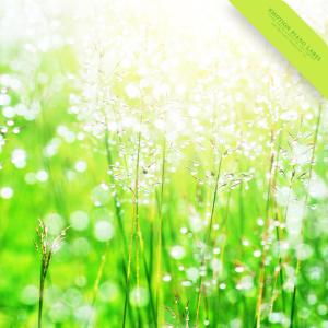 Album New Age Piano Collection In A Good Morning oleh Various Artists