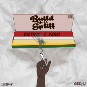 Album Build Me a Spliff from DizTroy