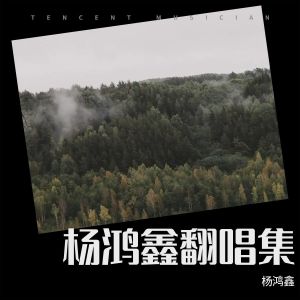收聽楊鴻鑫的因你真正活過 (cover: 廣東餘豐) (完整版)歌詞歌曲