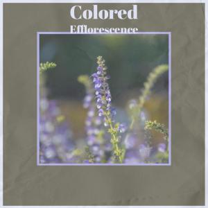 Listen to Colored Efflorescence song with lyrics from Diah Keza