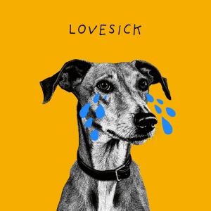 Gavin James的專輯Lovesick