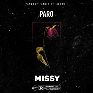 ดาวน์โหลดและฟังเพลง Missy (Explicit) พร้อมเนื้อเพลงจาก Paro
