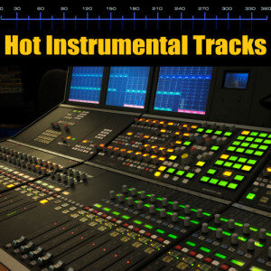 Future Hit Makers的專輯Hot Instrumental Tracks