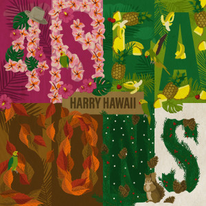 Listen to Little Rain song with lyrics from Harry Hawaii