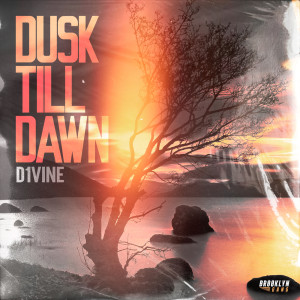 ดาวน์โหลดและฟังเพลง Dusk till Dawn พร้อมเนื้อเพลงจาก D1VINE