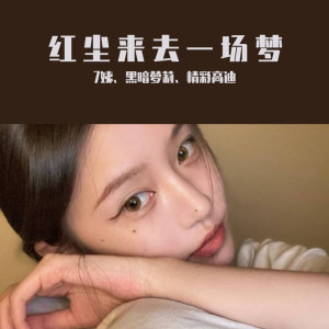 ดาวน์โหลดและฟังเพลง 很多东西可遇不可求（DJ咚鼓版） พร้อมเนื้อเพลงจาก ดารานักร้องหลายคน