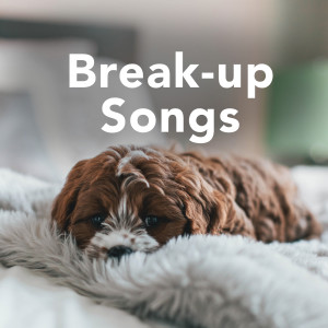 อัลบัม Break Up Songs (Explicit) ศิลปิน Various