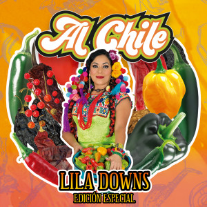 ดาวน์โหลดและฟังเพลง Dear Someone พร้อมเนื้อเพลงจาก Lila Downs