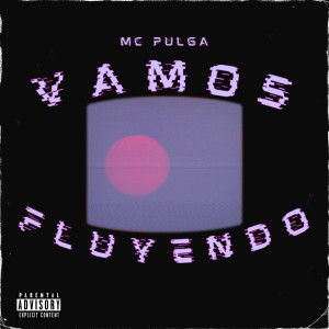 ดาวน์โหลดและฟังเพลง Vamos Fluyendo พร้อมเนื้อเพลงจาก Mc Pulga