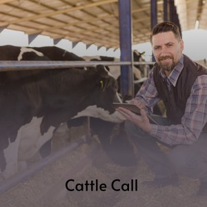 Dengarkan Mule Boogie lagu dari Roy & His Cohutta Mountain Boys Hall dengan lirik