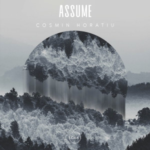 Dengarkan Assume It (Fabian Weitz Remix) lagu dari Cosmin Horatiu dengan lirik