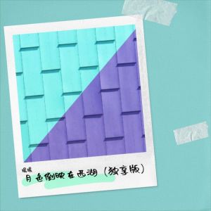 Listen to 月色倒映在西湖 (完整版) song with lyrics from 苡纯