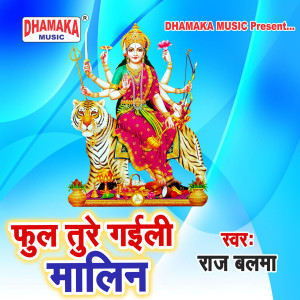 Listen to Phool Ture Gaili Malin song with lyrics from Raj Balma