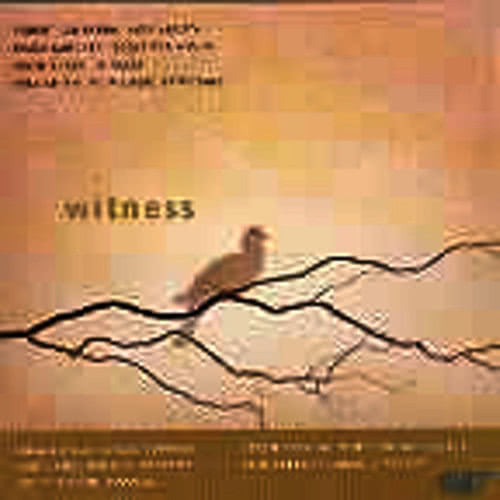 Witness - Original Compositions in Spiritual Style: And He Never Said a Mumblin' Word