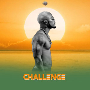 Album Challenge from Rhino King