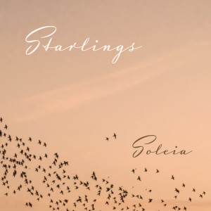 Soleia的专辑Starlings