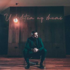 Listen to U deshtem aq shumë song with lyrics from Taulant Bajraliu