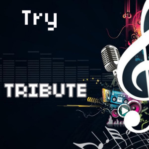收聽Tribute Team的Try歌詞歌曲