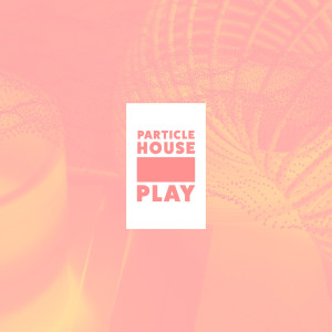 Listen to Play (Instrumental Version) (Late Yungin Remix|Instrumental Version) song with lyrics from Insane House