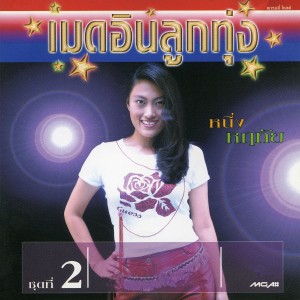 ดาวน์โหลดและฟังเพลง ดอกไม้ป่า พร้อมเนื้อเพลงจาก หนึ่ง หฤทัย