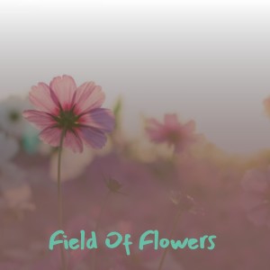 收听Peter Siegel的Bill Mason歌词歌曲