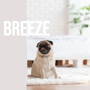 收听Jim Reeves的Breeze歌词歌曲