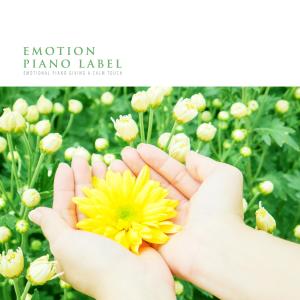Various Artists的专辑Emotional Piano Giving A Calm Touch
