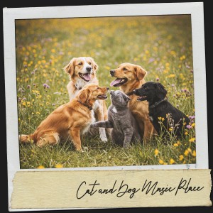 อัลบัม Cat and Dog Music Place: Paws and Tunes ศิลปิน Cat Music Therapy