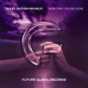 Nathan Brumley的專輯Now That You're Gone (with Nathan Brumley)