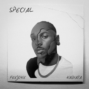 Album SPECIAL from Feejoke