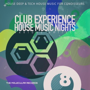 Listen to Last Dream (Modern House Mix) song with lyrics from Ida Valdes