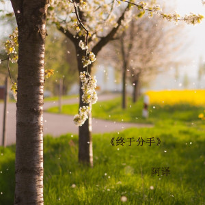 Listen to 终于分手 (完整版) song with lyrics from 阿译