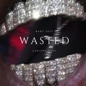 Wasted (feat. Baby Jayy) [Explicit]