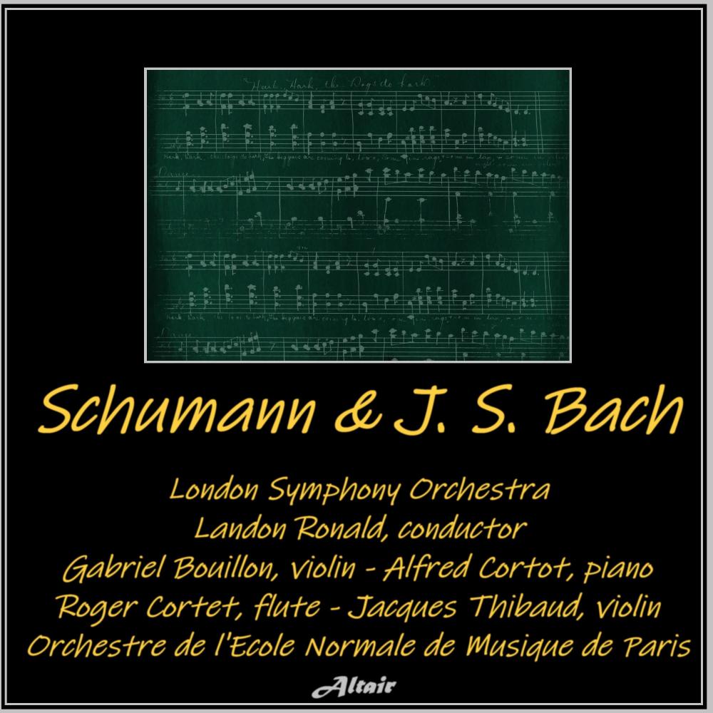 Brandenburg Concerto NO. 5 in D Major, BWV 1050: III. Allegro