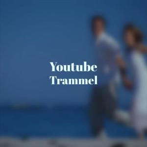 Various Artists的專輯Youtube Trammel